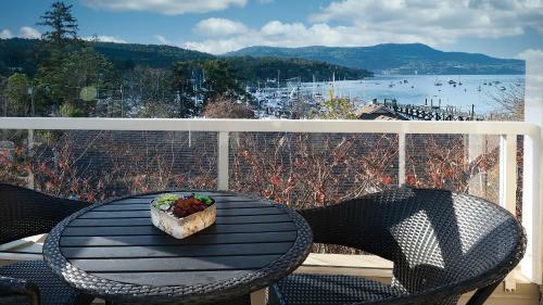 Bliss By The Bay W/ Amazing Rooftop Patio