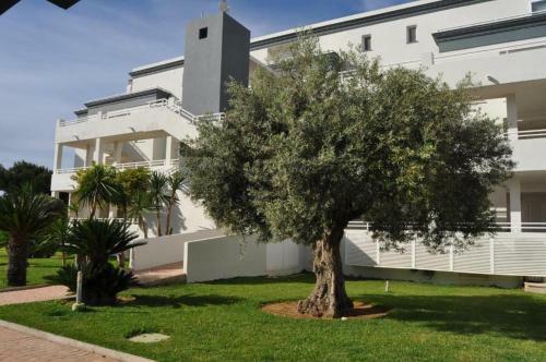 Apartamento Oasis Hoyo 12 - Oliva Nova Playa Met&golf