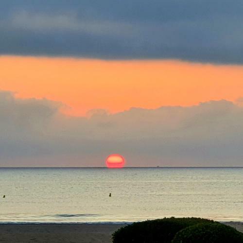 Apartamento Con Piscina Frente Al Mar. Oliva Nova