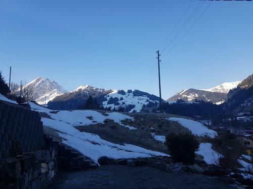 Apartamento Chalet Gr�neggli