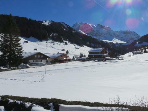 Apartment Stockbrun�