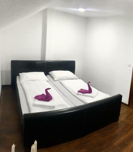 Modern Apartment
