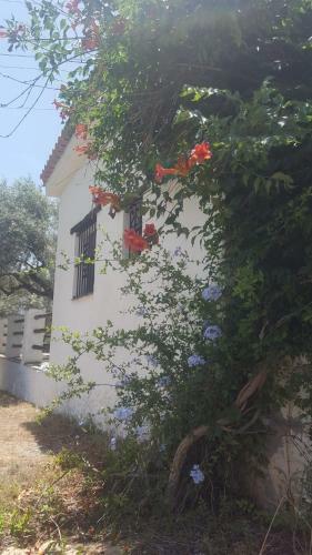 Hostal Gateway To The Alpujarras, 'cortijo Derry'