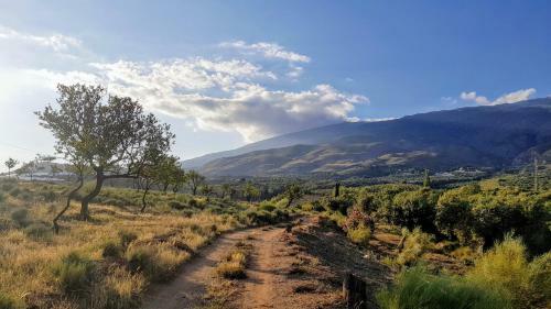Hostal Gateway To The Alpujarras, 'cortijo Derry'