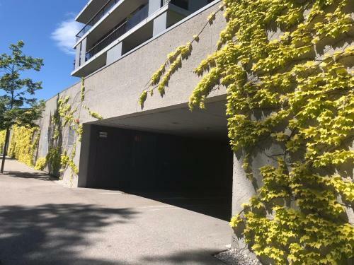 Apartment Parkvilla Traunstein