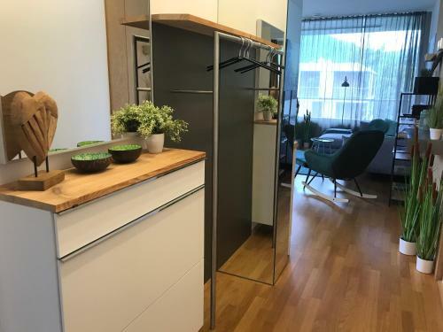 Apartment Parkvilla Traunstein