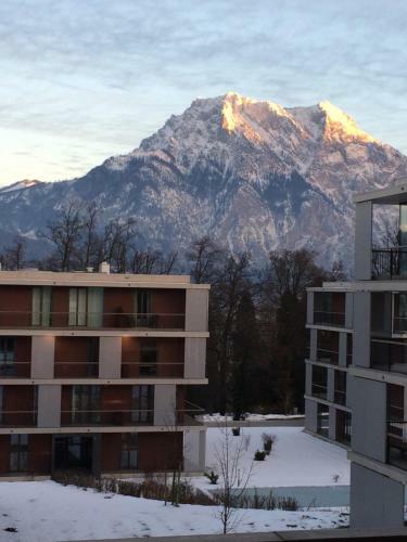 Apartment Parkvilla Traunstein