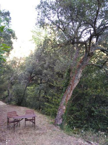 Agroturismo El Lila de Can Teixidor