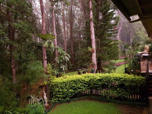 Bed & Breakfast Buderim Forest Hideaway