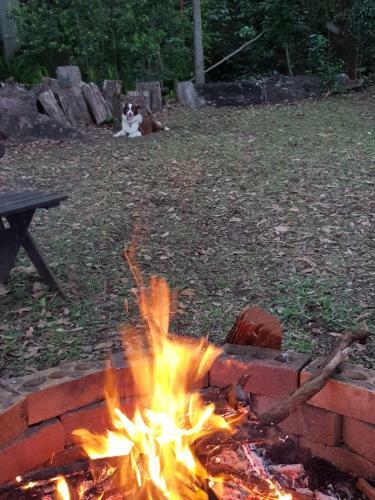 Bed & Breakfast Buderim Forest Hideaway