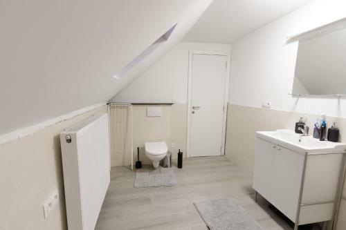 Apartamento Grogo Duplex Appartment(Centre Of Antwerp)
