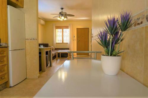 Villa Rose