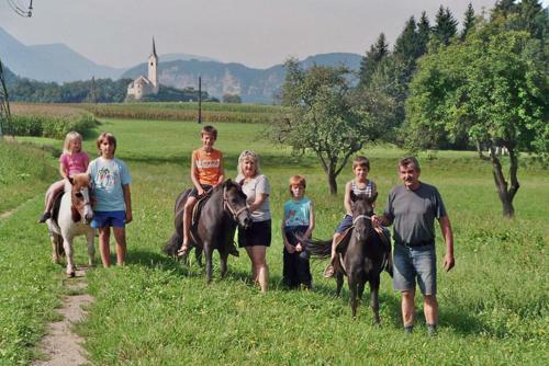 Agroturismo Erlebnisbauernhof Pension Waschnig