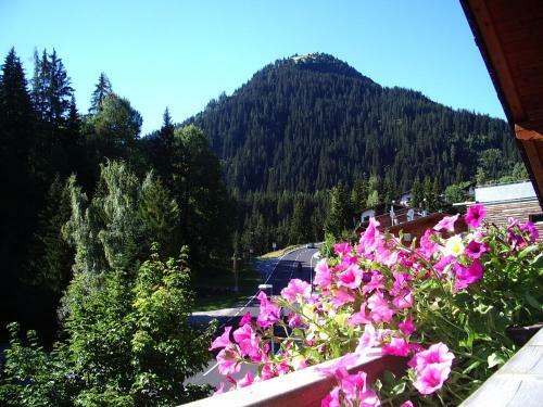 Apartamento Haus Rali