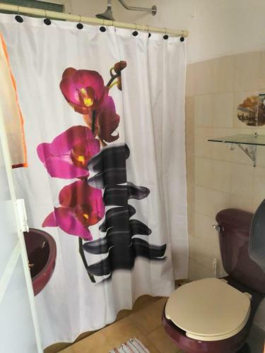 Hotel Villas San Felipe
