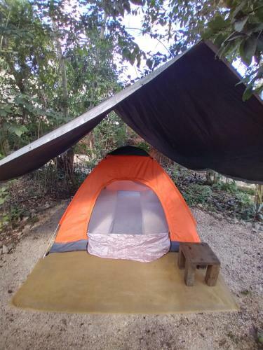 Hostal Guarumbo