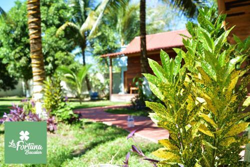 Lodge Caba�as La Fortuna Bacalar
