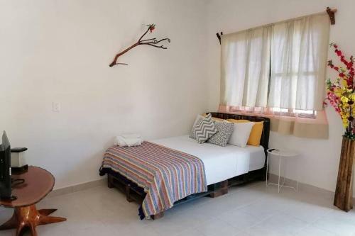 Apartamento Hospedaje La Selva Bacalar