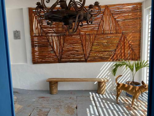 Posada Cache Bacalar