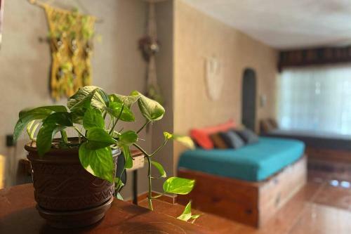 Apartamento Casa Venado, By Jungla Bacalar