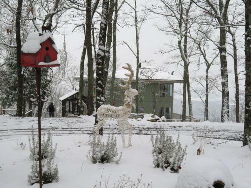 Tree House Cabin - The Original