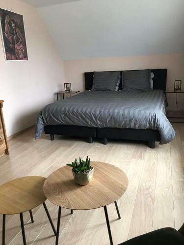 Bed & Breakfast Hazegewoud
