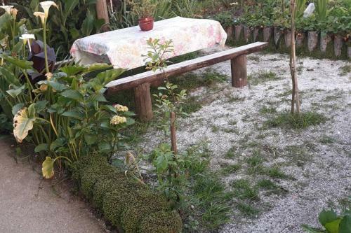 Casa Iriense Vut-co-004308