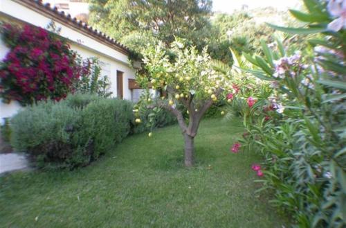 Villa Colina