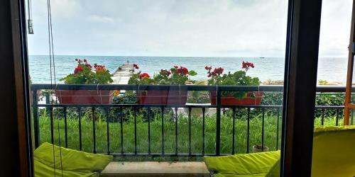 Apartment Poemia, Complex Carpe Diem