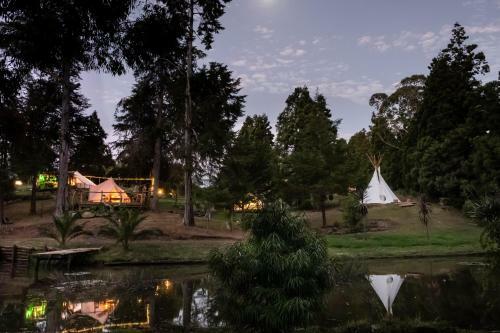 The Luxury Honolulu With Private Bar At Paradise Valley Glamping