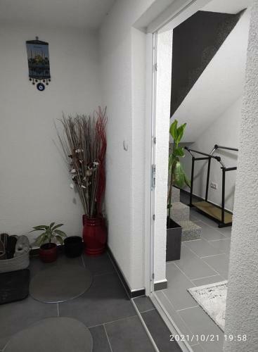 Apartman Hajdin