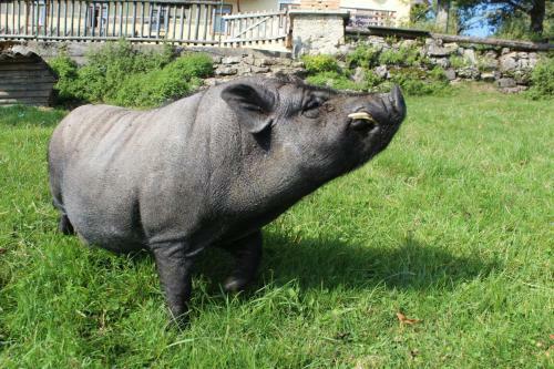 Agroturismo Hirmhof
