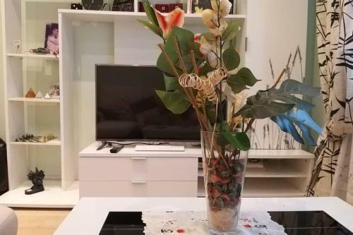Apartamento Piso En Avenida Pumar�n . Wifi
