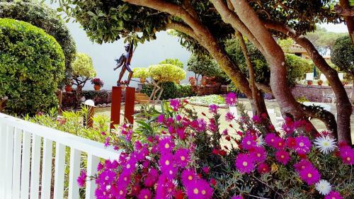 Apartamento Con Jard�n A 11 Metros de La Playa. Cg.