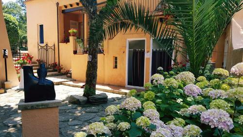 Apartamento Con Jard�n A 11 Metros de La Playa. Cg.