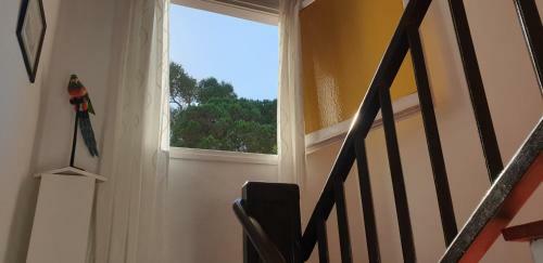 Apartamento Con Jard�n A 11 Metros de La Playa. Cg.