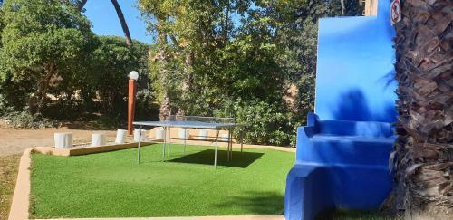 Apartamento Con Jard�n A 11 Metros de La Playa. Cg.