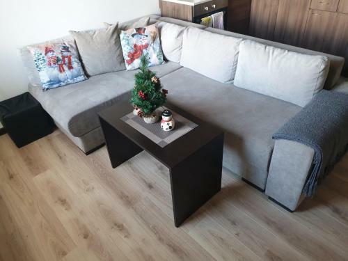 Royal Bansko Aparthotel 206d