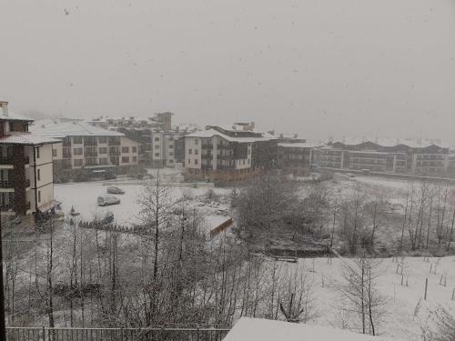Royal Bansko Aparthotel 206d