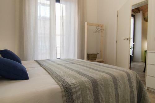 Can Pauet Apartaments