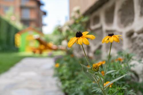 Hostal Guest House Kehayovi