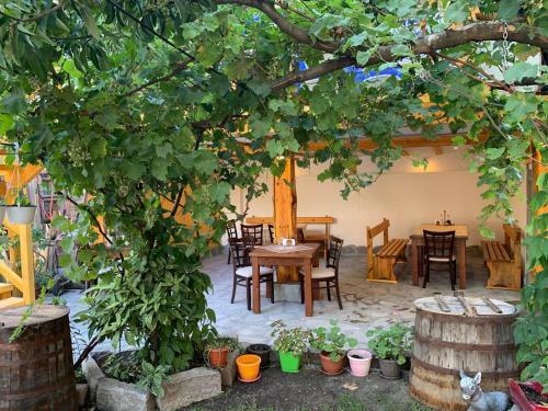 Hostal Mamin Kolio