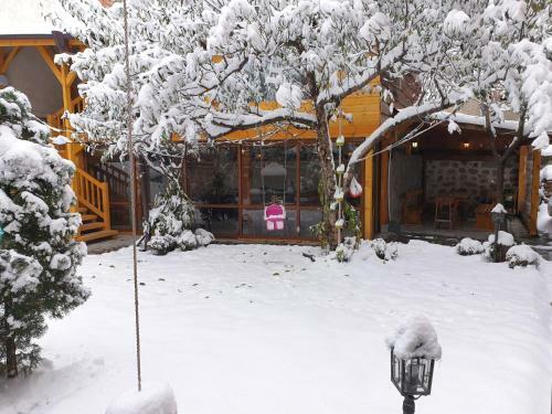 Hostal Mamin Kolio
