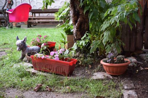 Hostal Mamin Kolio