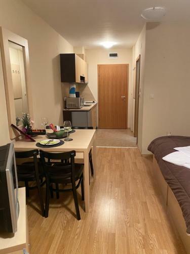 Aspen Suits Studio Apartment