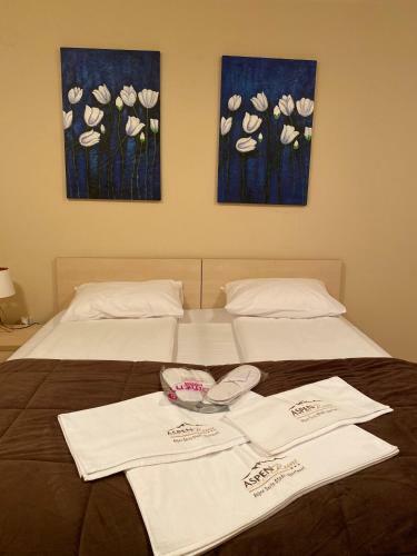 Aspen Suits Studio Apartment