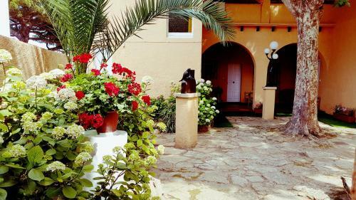 Apartamento Con Jard�n A 11 Metros de La Playa. Se.