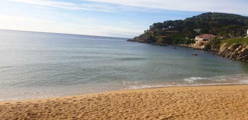 Apartamento Con Jard�n A 11 Metros de La Playa. Se.