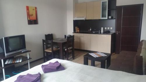Apartamento Complex Alpine Lodge, Bansko, Studio 4 Personne,