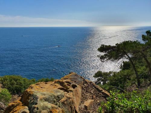 Apartamento En La Fosca, Palamos